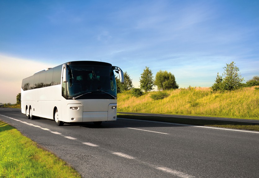 Know Few Words About BitlifeBus